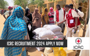 ICRC Recruitment 2024/2025 Application Form / Apply Now