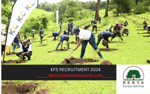KFS Recruitment 2024 Jobs/Vacancies Application Portal