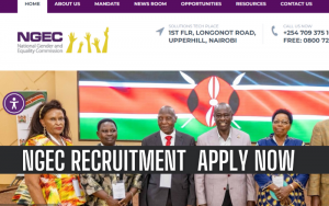 NGEC Recruitment 2024/2025, Open Vacancies And Eligibility