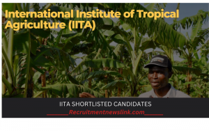 IITA Shortlisted Candidates 2024/2025 is Out – Check and Download the Pdf Here
