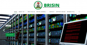 BRISIN Recruitment 2024 | Requirements, Check Salary, Application Process & Registration Portal: www.brisin.ng