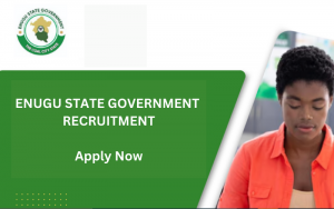 Enugu State Government Recruitment 2024/2025 | Open Jobs Online Form